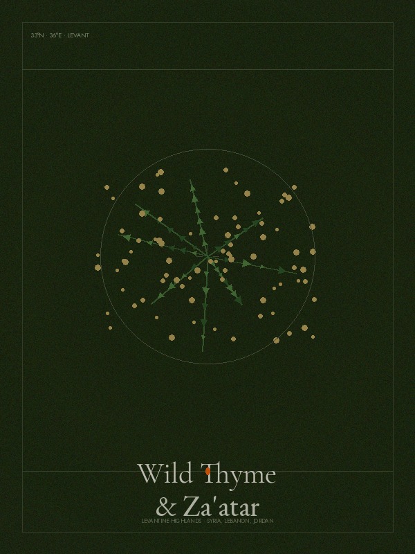 Wild Thyme and Za'atar blend