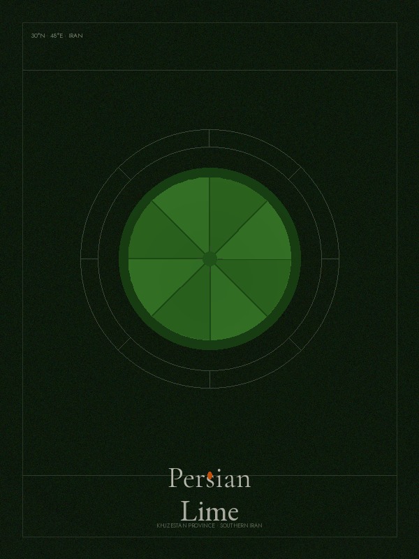 Persian Lime cross-section