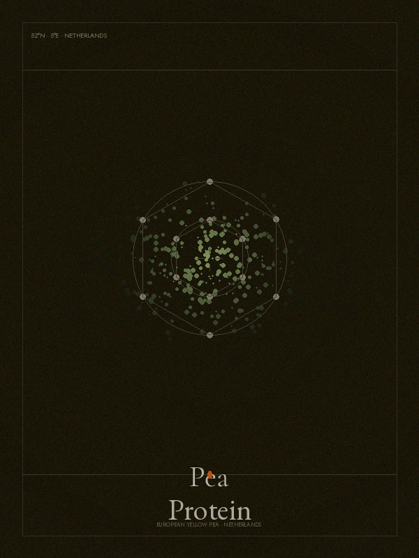 European Pea Protein